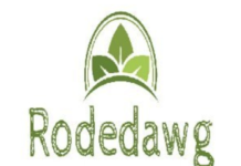 Rodedawg International Industries, Inc. (OTC: RWGI) Appoints New CEO rodeo dog logo white background green text with green leaves above the text