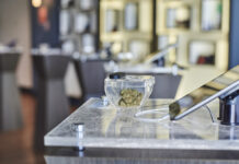 Adult Use Is Transforming Customer Dynamics Across the Country Euflora dispensary-CTM4209