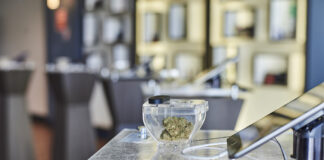 Adult Use Is Transforming Customer Dynamics Across the Country Euflora dispensary-CTM4209