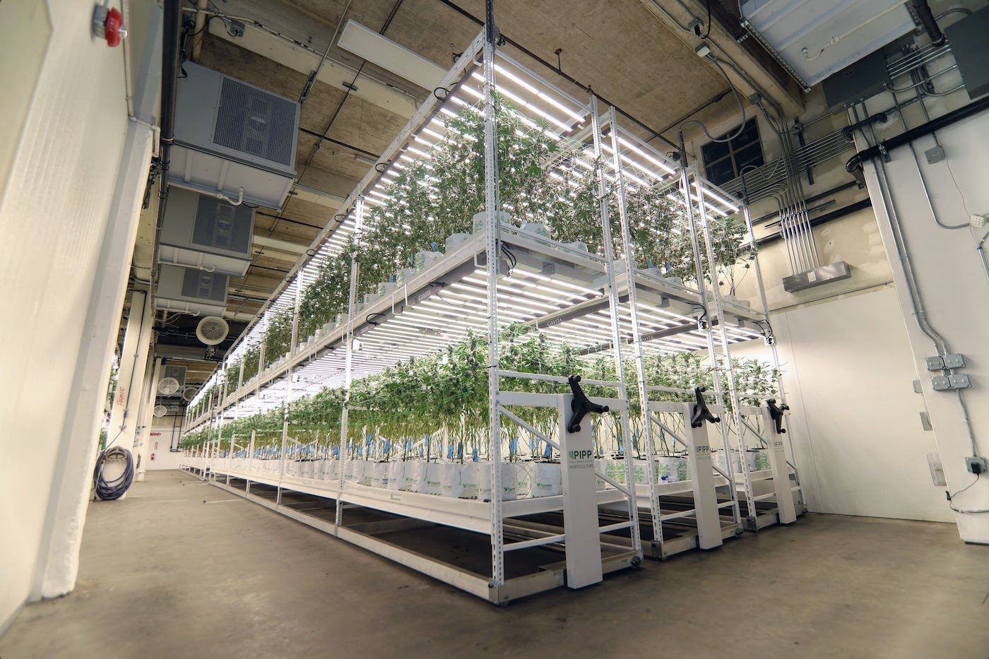 Pipp Horticulture Rack Systems Indoor Growing