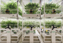 Keep Things Moving with Pipp Horticulture’s Mobile Vertical Grow Racks Urban Wellness Albuquerque New Mexico Vertical Grow Facility-1