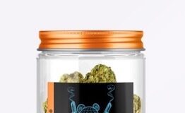 DJ Whoo Kid Partners with Mike Tyson on New Cannabis Venture Whoodini label on jar of nugs
