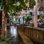 14 Influential Cannabis Retail Executives Woods-Daylight-6052 Photog -Diana-Dalsasso