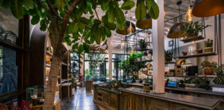 14 Influential Cannabis Retail Executives Woods-Daylight-6052 Photog -Diana-Dalsasso