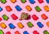recreational marijuana with gummy bears on a pink background