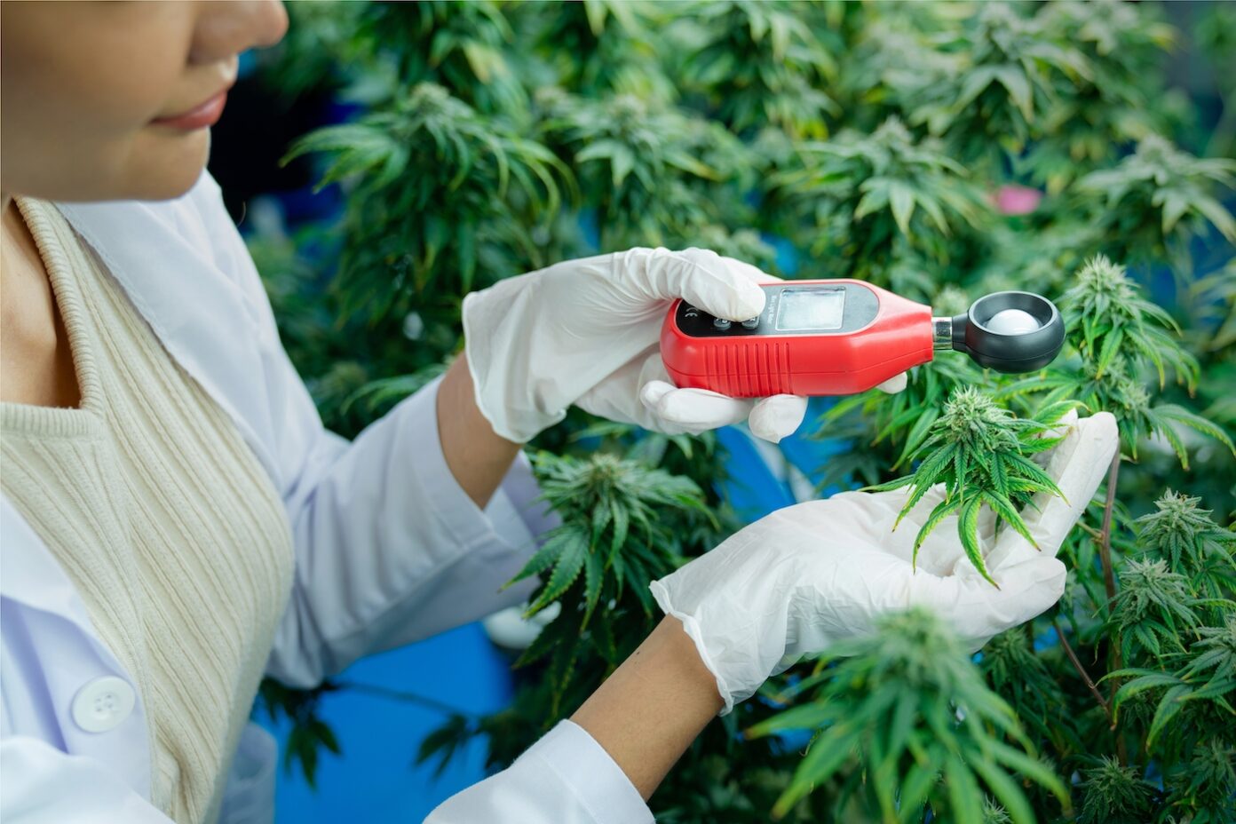 6 Portable THC Testers Providing Cultivators with Actionable Data