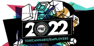 The Search for America’s Best Cannabis Employers Is Underway The-Search-for-Americas-Best-Cannabis-Employers-Is-Underway