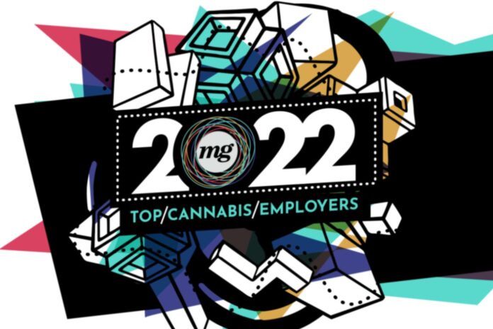 The-Search-for-Americas-Best-Cannabis-Employers-Is-Underway