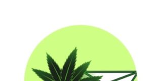Budmail Announces Launch of Dispensary E-commerce Platform budmail logo in green circle with red text and a cannabis leaf