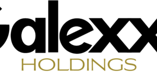 Galexxy Holdings Inc. to Acquire Wellbeing Farms LLC. galexxy logo white background black text