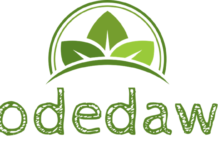 Rodedawg International Industries, Inc. (OTC: RWGI) Adds New Licensed Cannabis Facility to Management Portfolio whtie background rodedawg logo in green text