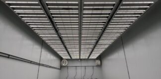 The Importance of Hermetically Sealed Environments in Cannabis Cultivation Impressed-LLC-Empty-Room