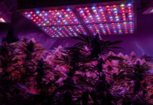 LED Lighting Pros and Cons Professional LED grow light for growing. Best LED Grow Lights for Cannabis