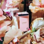 Fall 2022 Dispensary Buyers’ Guide SUNDAZED2 web-copy