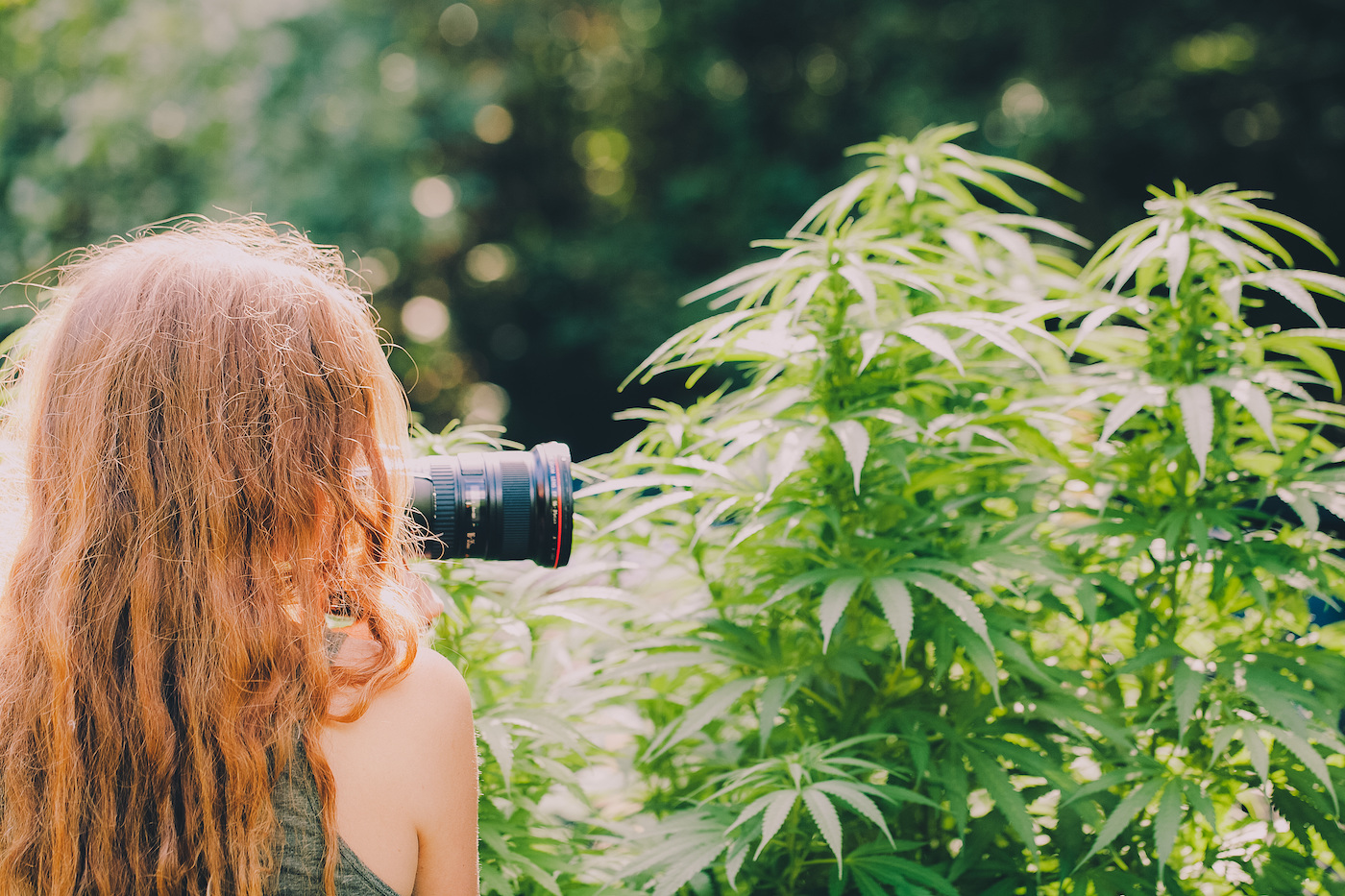 Creating and Leveraging Quality Cannabis Photography 