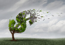 A Guide to Surviving the Valley of Death Financial trouble and money adversity or economic crisis concept as a tree being blown by the wind and damaged or destroyed by a storm as a business crisis metaphor with 3D illustration elements.