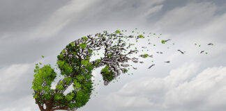 A Guide to Surviving the Valley of Death Financial trouble and money adversity or economic crisis concept as a tree being blown by the wind and damaged or destroyed by a storm as a business crisis metaphor with 3D illustration elements.