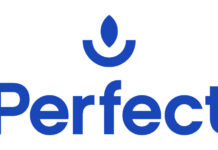 Introducing The Perfect Companion: A 5-Piece Micropipe Set By Cannabis Brand Perfect Blends perfect blends logo