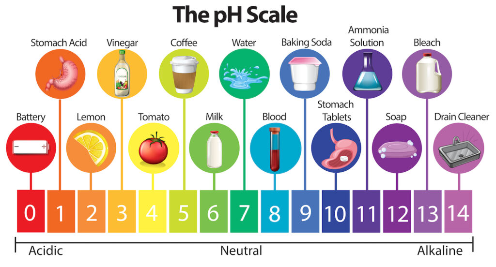 The Science pH Scale illustration