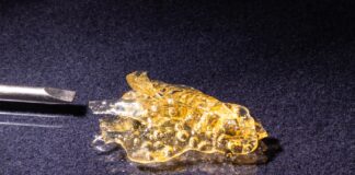 8 Cannabis Extraction Machines Turning Flower Into Gold Cannabis wax extract on black background with spatula close-up.