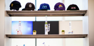 40% of Stoners Taking off on 4/20 Ayr Watertown NV9A0159