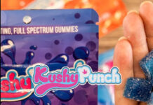 Exclusive Brands Announces New Ownership of Kushy Punch Brand KushyPunch