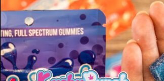 Exclusive Brands Announces New Ownership of Kushy Punch Brand KushyPunch