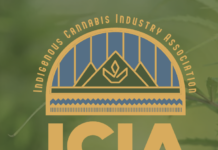 Indigenous-owned Company Canndigenous Awarded USDA Grant to Develop Climate-Friendly Hemp Screen-Shot-2022-10-25-at-3.55.04-PM