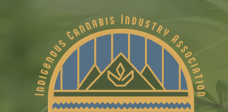 Indigenous-owned Company Canndigenous Awarded USDA Grant to Develop Climate-Friendly Hemp Screen-Shot-2022-10-25-at-3.55.04-PM