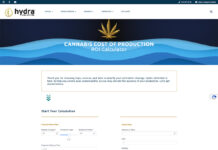 Grower Profitability Visualized with Online Cannabis ROI Calculator 25836