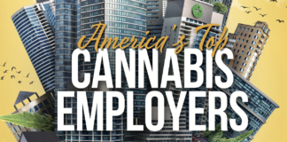 America’s Top Cannabis Employers 2022 Graphic with buildings and cars for the america's top cannabis employers 2022