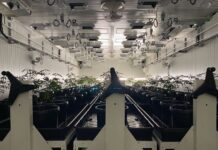 PermaTherm’s New PDQ Program is Built to be Setback-Proof Brighterside-Vertical-Farms-permatherm