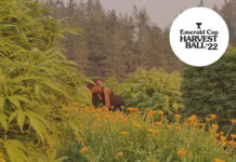 Emerald Cup Announces 2022 Harvest Ball Small Farms Initiative Participants and 2023 Emerald Cup Awards Judges ECHB22 smallfarms lineuphere