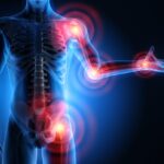 Gb Sciences Co-Publishes Study Demonstrating Anti-Inflammatory Properties of Cannabis Ingredients a translucent human body with a skeleton inside and red circles around the joints