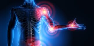 Gb Sciences Co-Publishes Study Demonstrating Anti-Inflammatory Properties of Cannabis Ingredients a translucent human body with a skeleton inside and red circles around the joints