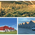 Prospiant Announces Pre-engineered Solutions for Greenhouse Growing – See it at MJBizCon Prospiant-Pre-engineered-solution-image
