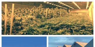 Prospiant Announces Pre-engineered Solutions for Greenhouse Growing – See it at MJBizCon Prospiant-Pre-engineered-solution-image