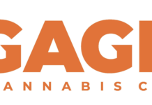 Gage Cannabis Announces Midwest CannaNurses as Fourth Social Equity Grant Recipient Screen-Shot-2022-11-01-at-9.14.01-AM-1