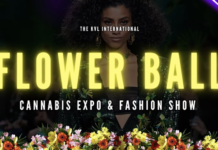 What is the Flower Ball Coming to Chicago? Screen-Shot-2022-11-02-at-10.34.50-AM