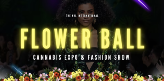 What is the Flower Ball Coming to Chicago? Screen-Shot-2022-11-02-at-10.34.50-AM