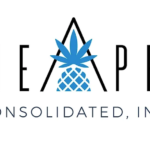 Pineapple Consolidated Raises Minimum Wage for Budtenders and Launches Employee Development Plan pineapple cosolidated logo