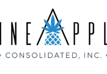 Pineapple Consolidated Raises Minimum Wage for Budtenders and Launches Employee Development Plan pineapple cosolidated logo