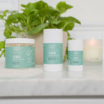 Thistle Farms Announces New CBD Product Line thistle farms cbd