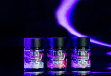 STIIIZY Introduces New Line of CBN Gummies unnamed-1-3