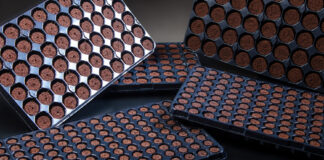 Profile Products acquires Quick Plug from Dümmen Orange unnamed-1-5