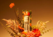 California cannabis brand Stone Road announces expansion into Michigan unnamed-1-7