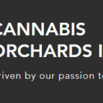 Cannabis Orchards Announces Agreement with National Institute Health to Screen Minor Cannabinoids for Epilepsy Treatment Cannabis Orchards