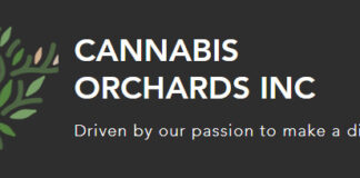 Cannabis Orchards Announces Agreement with National Institute Health to Screen Minor Cannabinoids for Epilepsy Treatment Cannabis Orchards