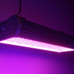 8 LED Manufacturers to Illuminate Your New or Existing Grow LED grow lamp for plants. Copy space. 3d illustration