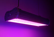 8 LED Manufacturers to Illuminate Your New or Existing Grow LED grow lamp for plants. Copy space. 3d illustration